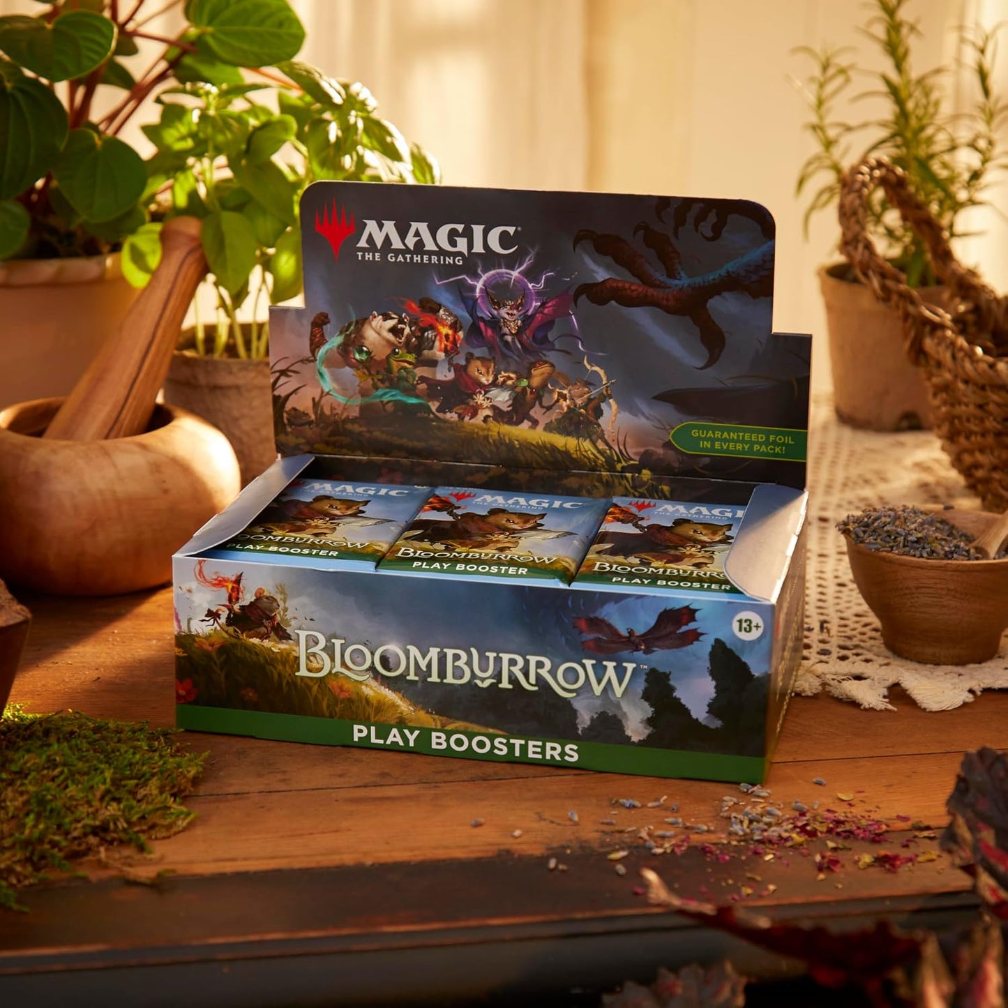 Coliseum | Bloomburrow Play Booster Box